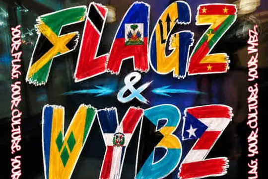 FLAGZ x VYBZ