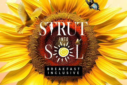 STRUT into SOL