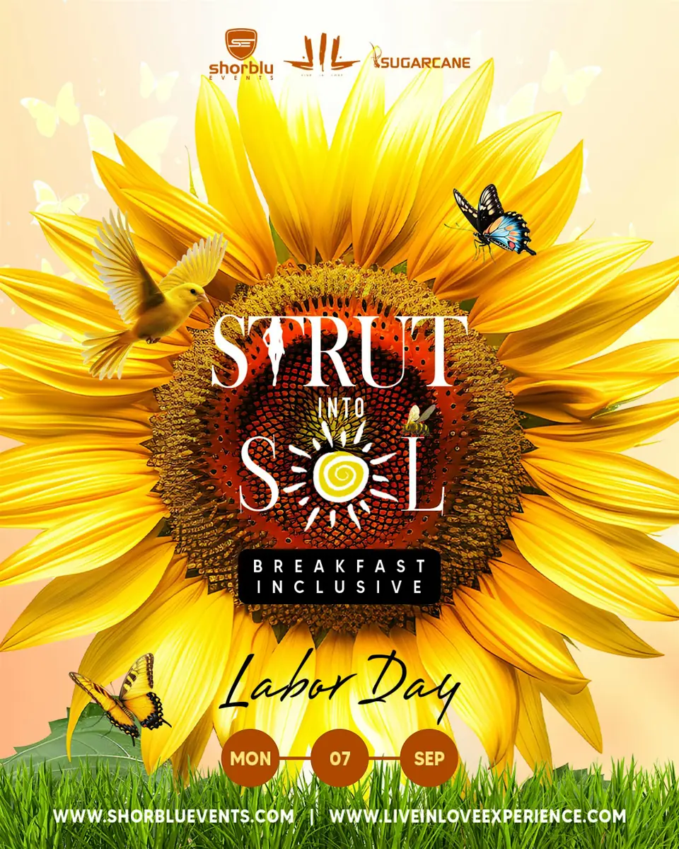 STRUT into SOL flyer or graphic.