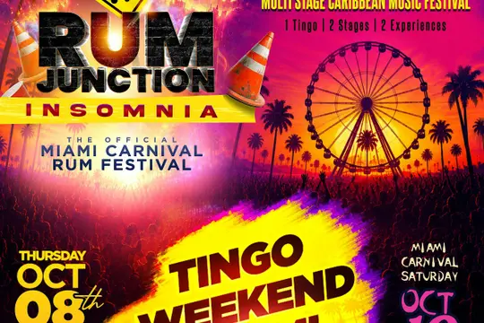 TingoFest