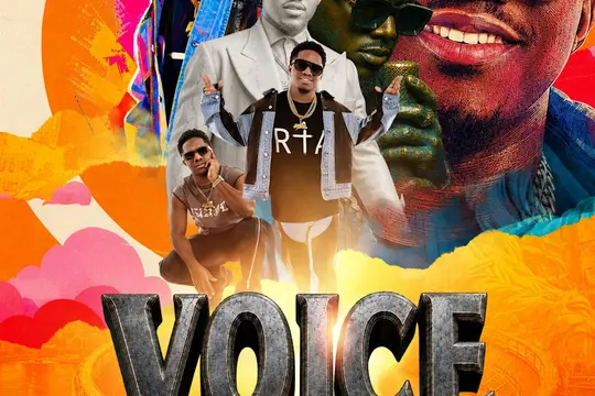 Voice