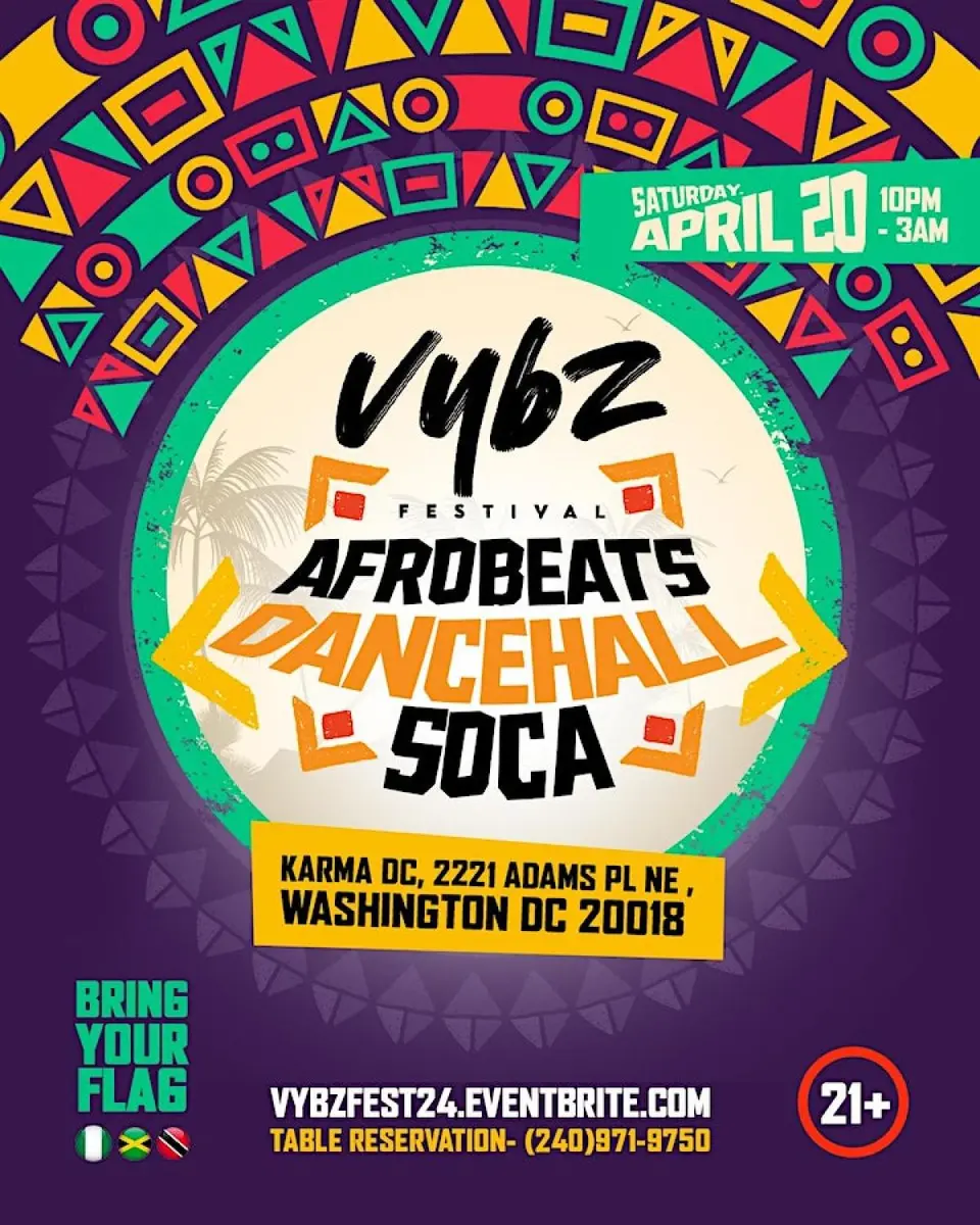Vybz Festival flyer or graphic.