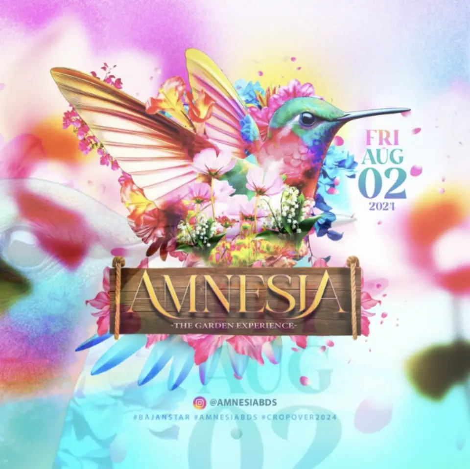 Amnesia flyer or graphic.