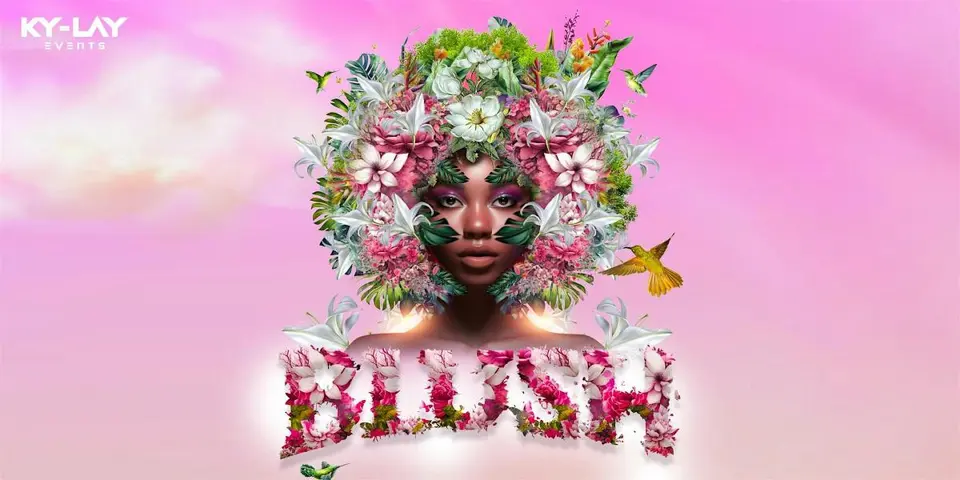 Blush flyer or graphic.