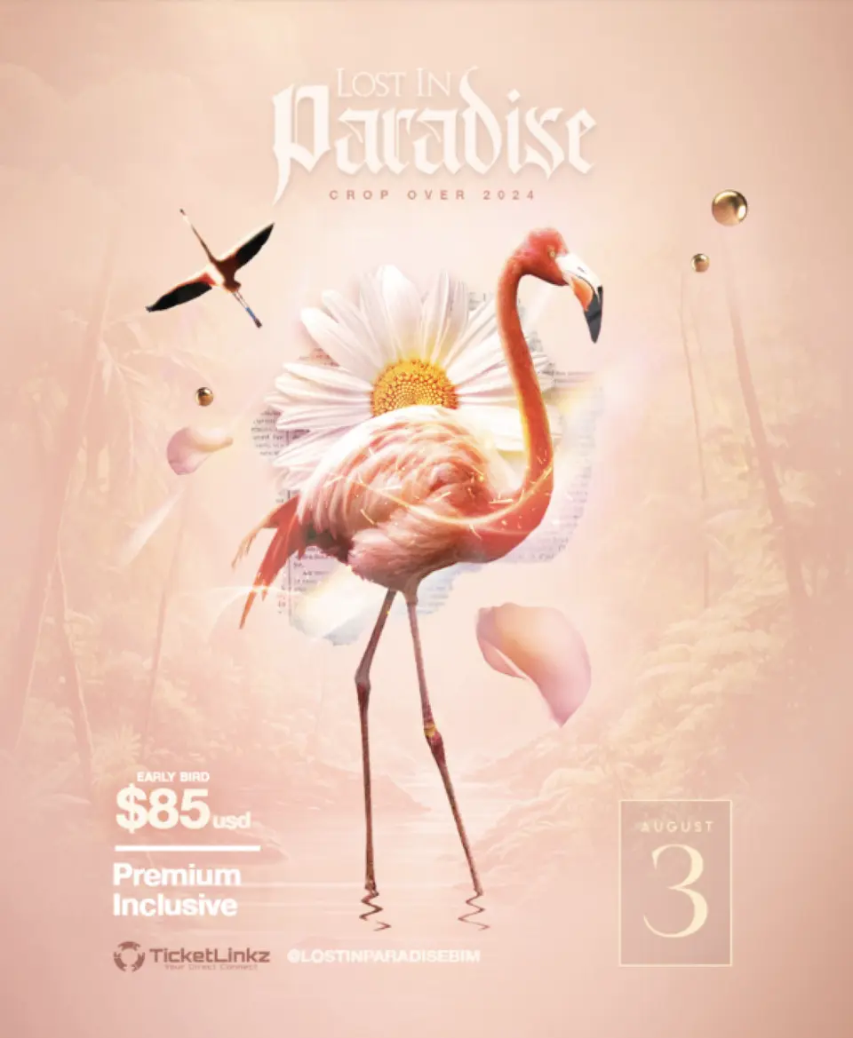 Lost In Paradise flyer or graphic.