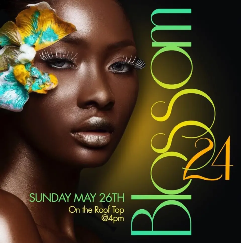 Blossom flyer or graphic.
