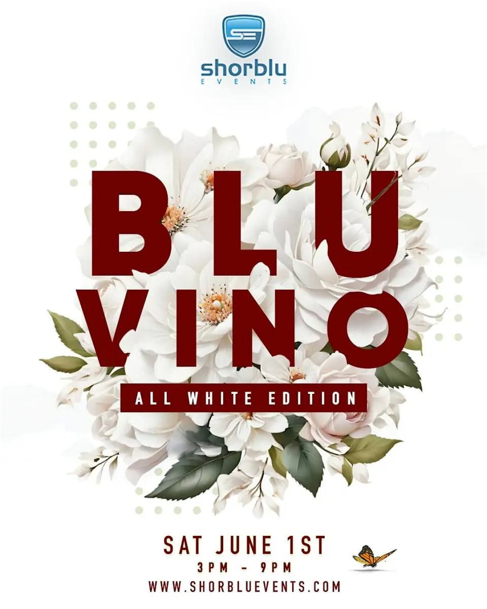 BluVino flyer or graphic.