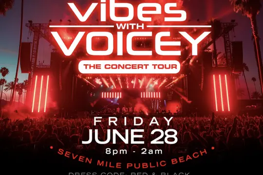 Vibes With Voicey