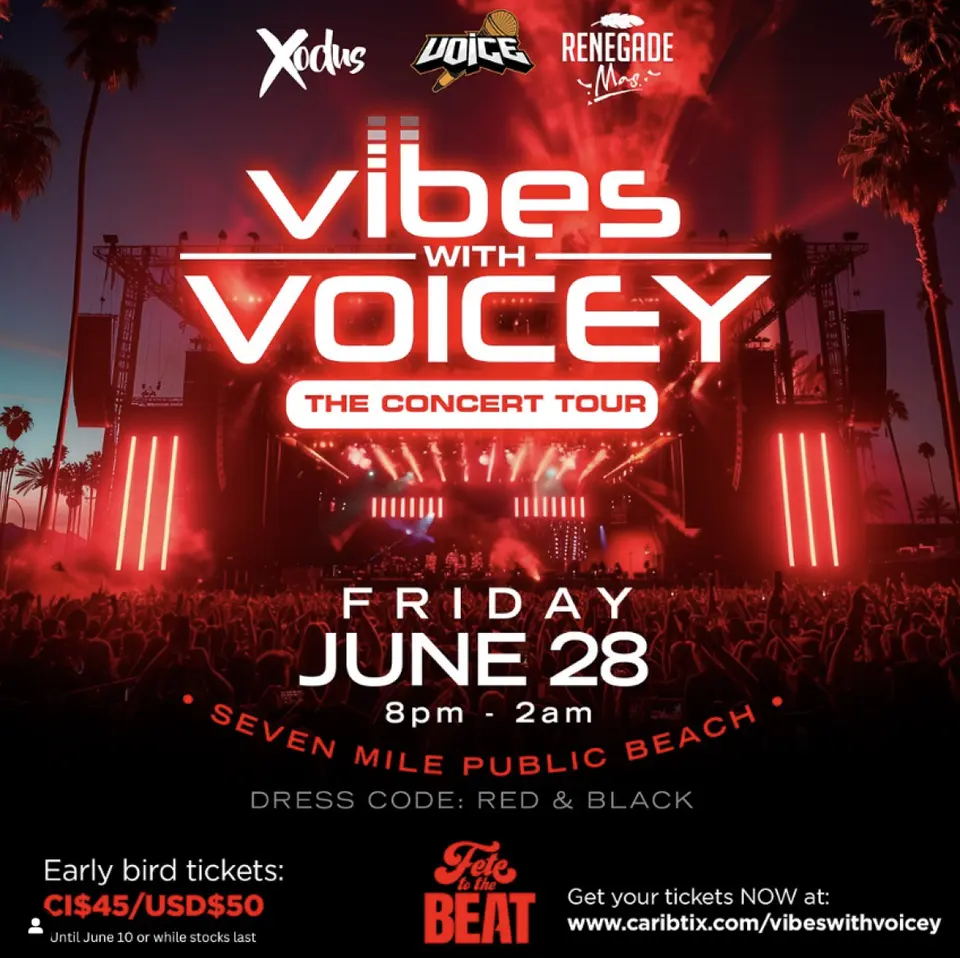Vibes With Voicey flyer or graphic.