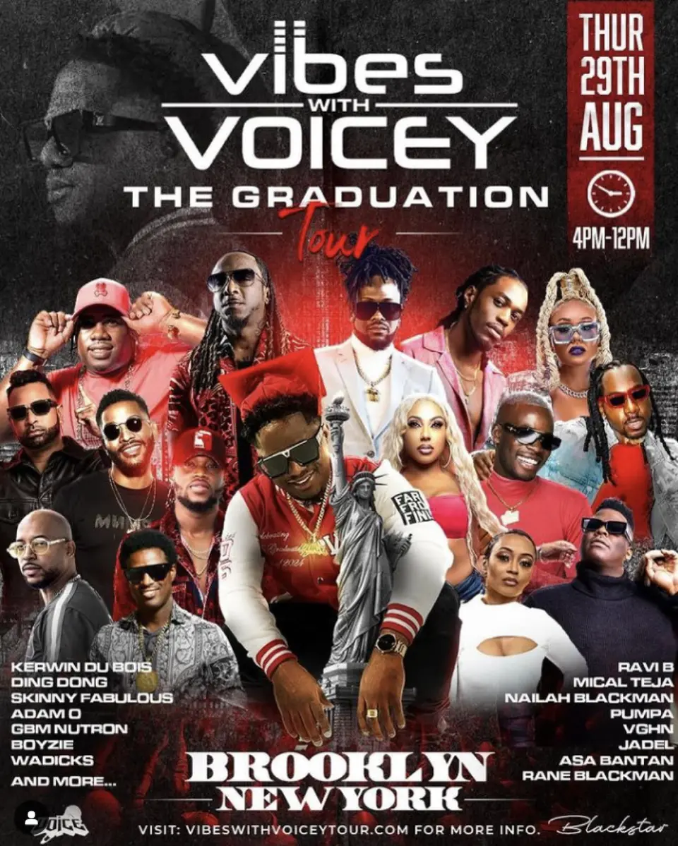 Vibes With Voicey The Graduation Tour flyer or graphic.