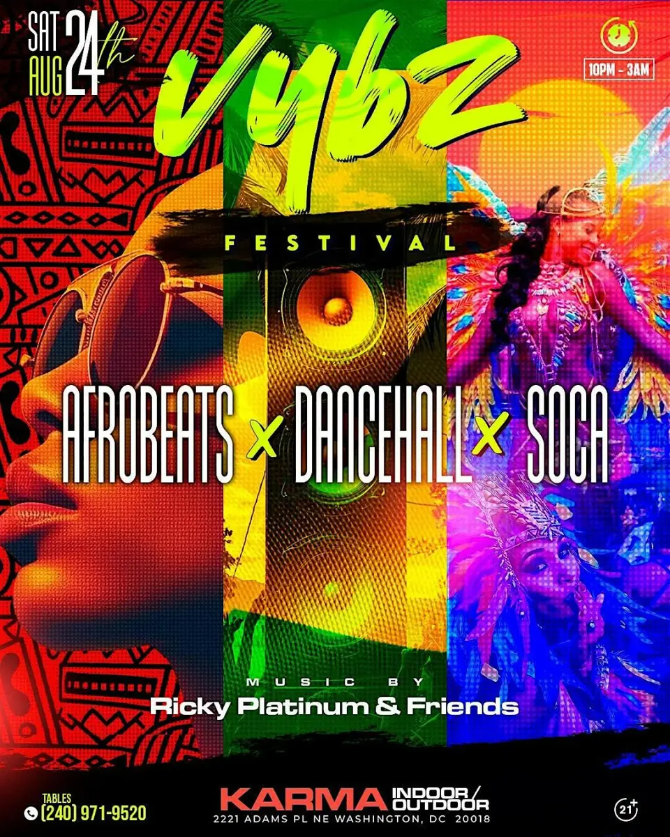 Vybz Festival flyer or graphic.