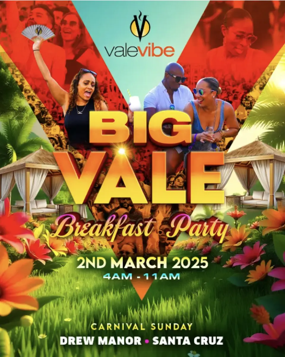 Big Vale Breakfast Party flyer or graphic.