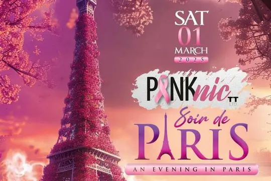 PINKnicTT