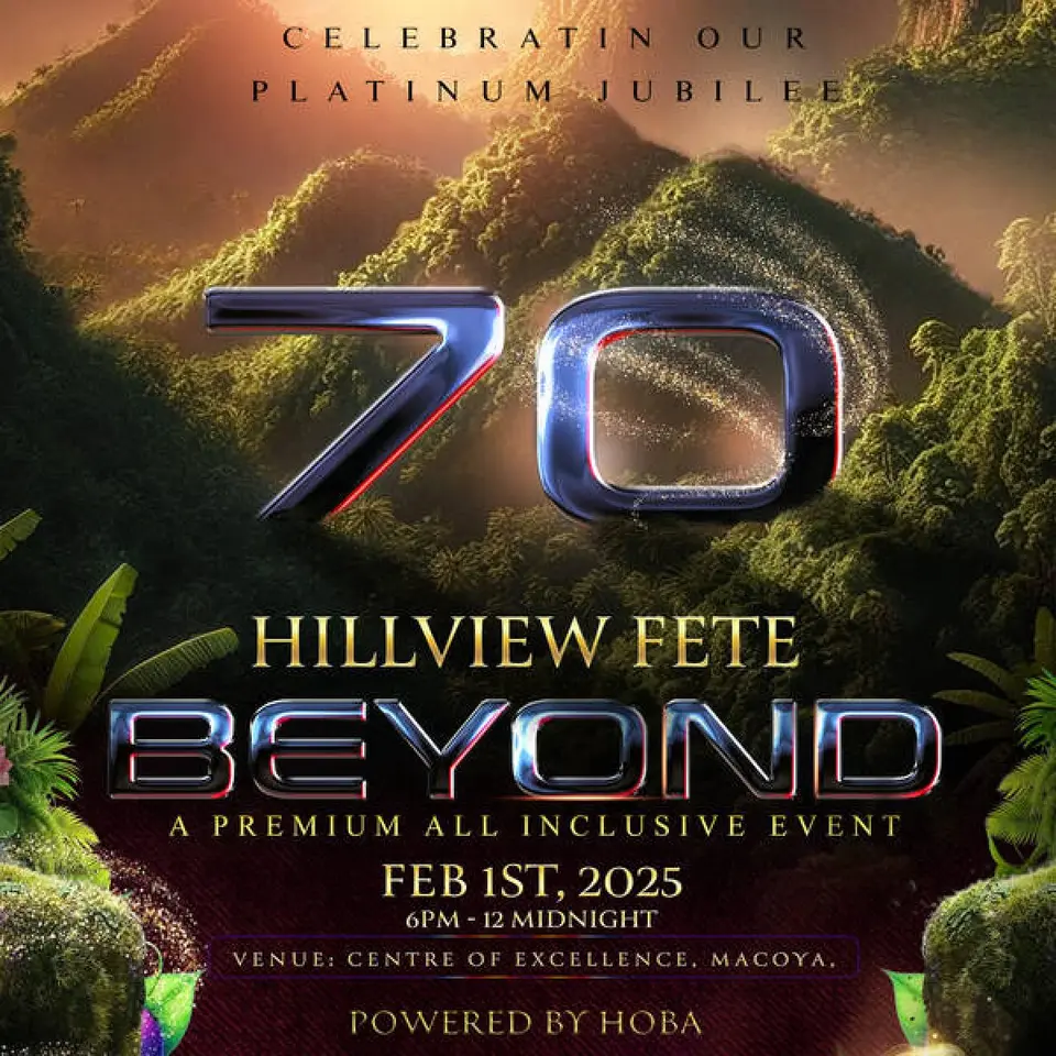 Hillview Fete - Beyond flyer or graphic.