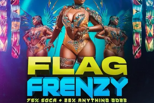Flag Frenzy