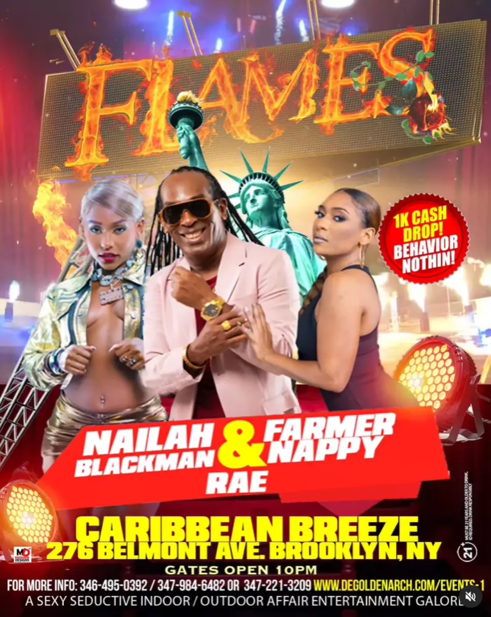 Flames flyer or graphic.