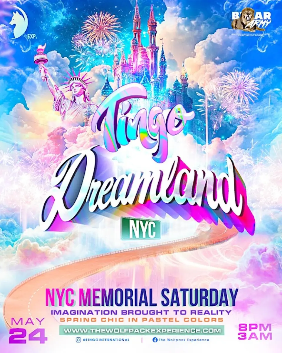 Tingo Dreamland flyer or graphic.