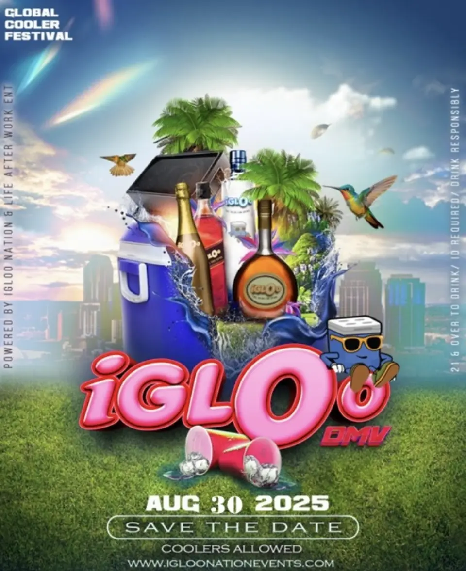 Igloo DMV flyer or graphic.