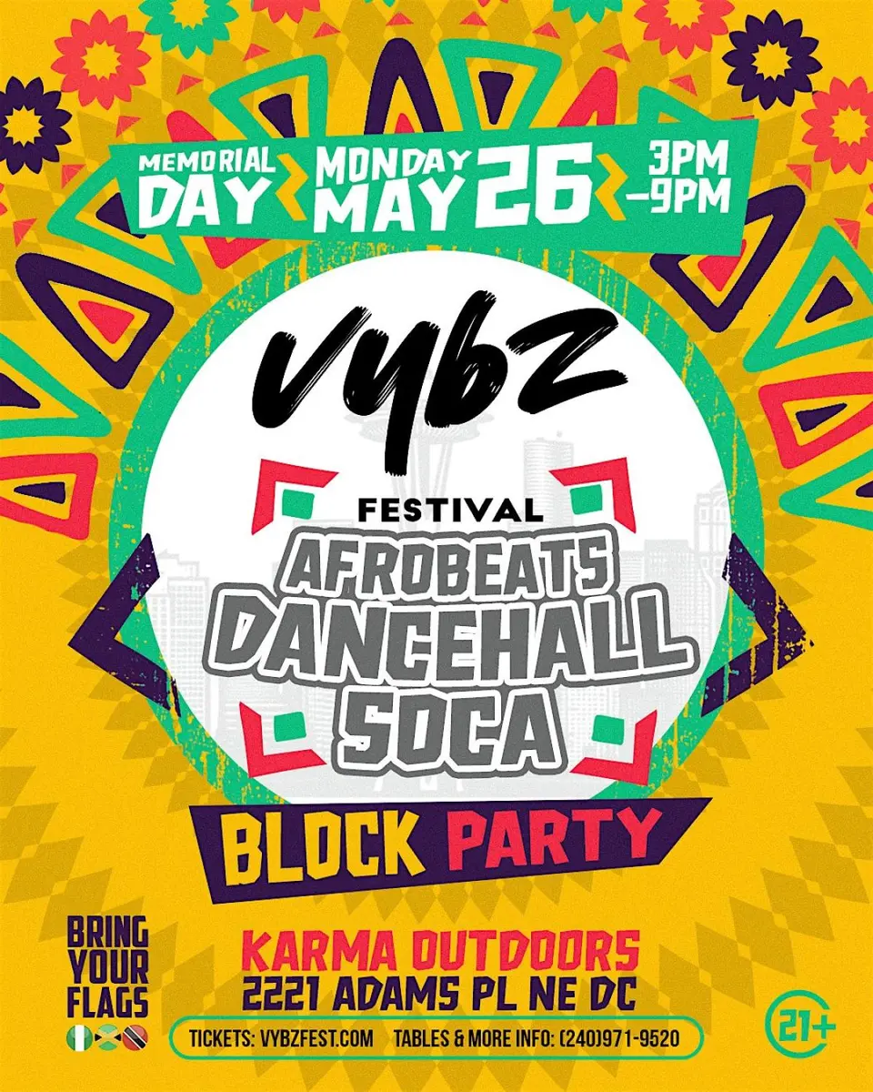 Vybz Festival DMV flyer or graphic.