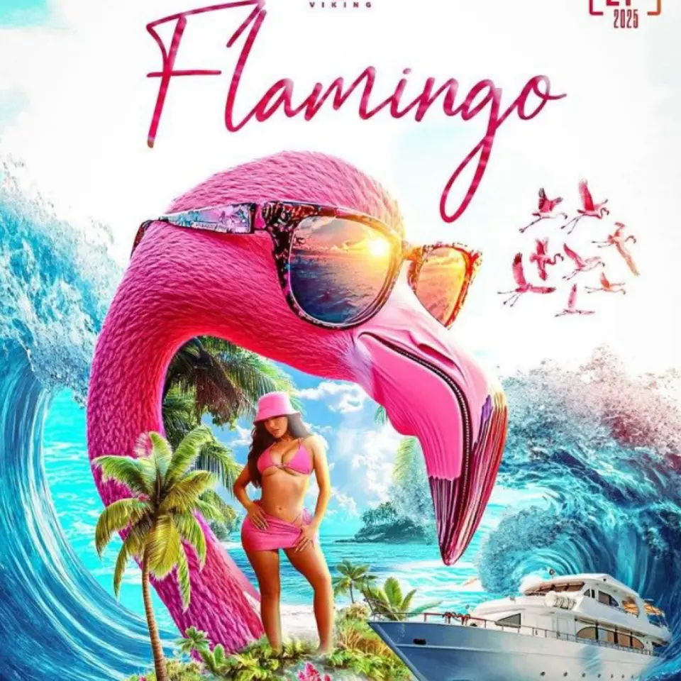 Flamingo flyer or graphic.