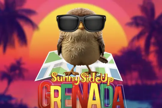 Sunny Side Up 