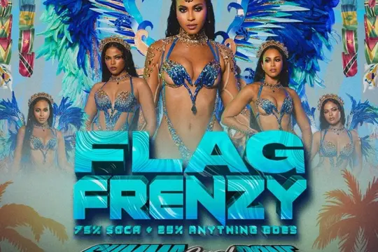 Flag Frenzy Summa Cyah Done