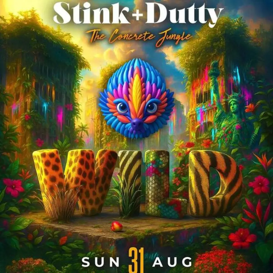 STINK + DUTTY (Dinks Inclusive) flyer or graphic.