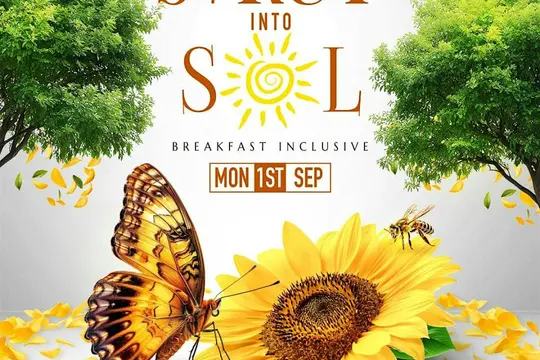 STRUT into SOL
