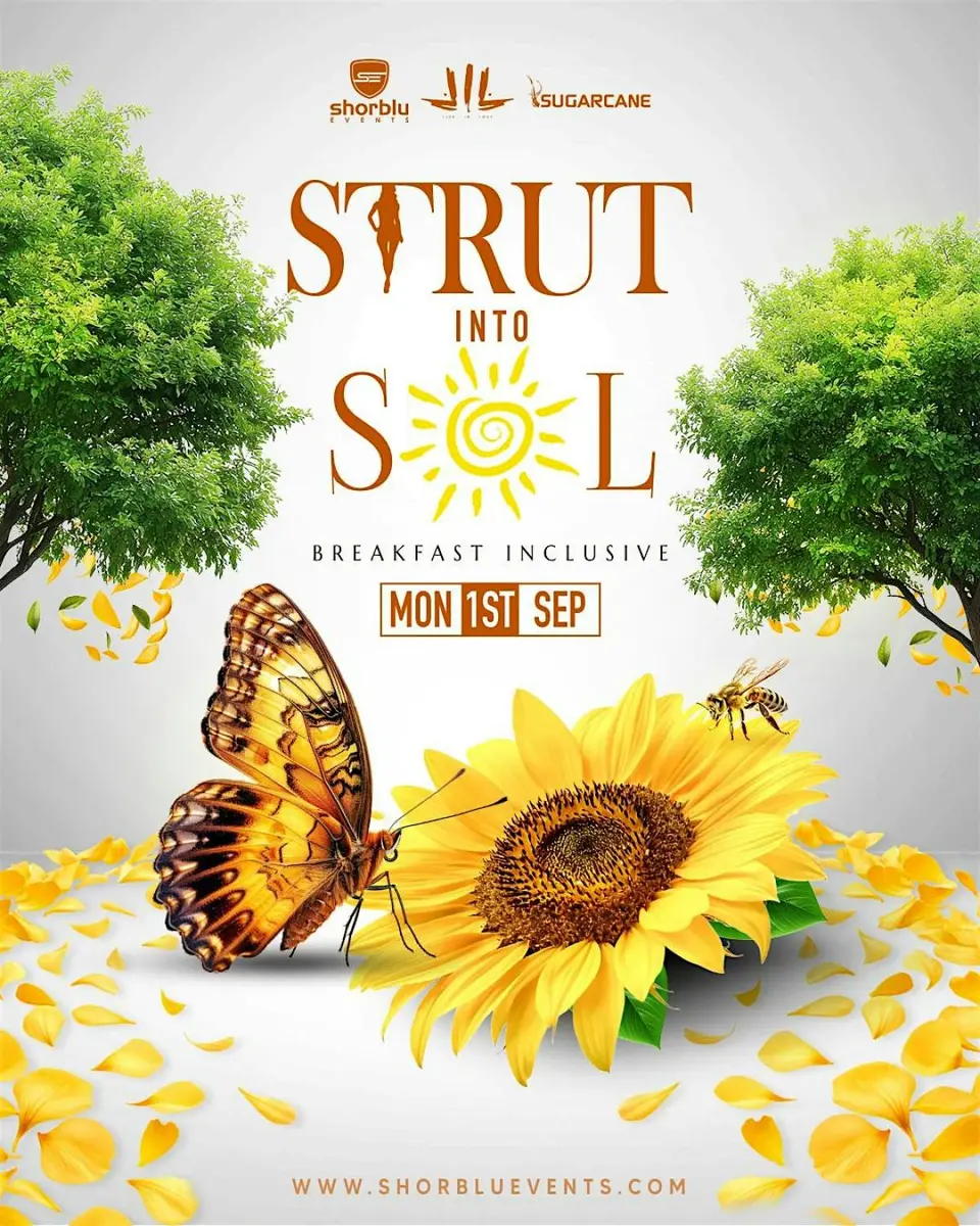 STRUT into SOL flyer or graphic.