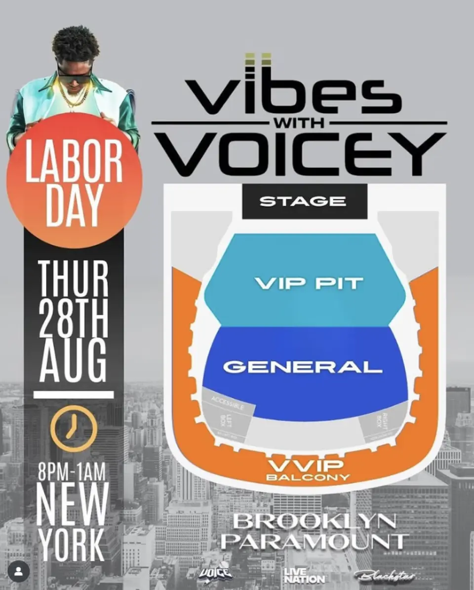 Vibez With Voicey flyer or graphic.