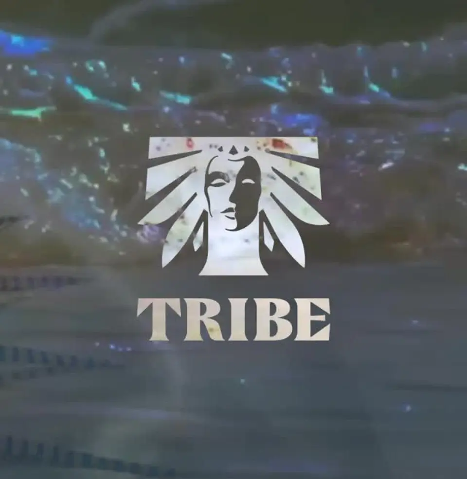 Tribe Carnival flyer or graphic.