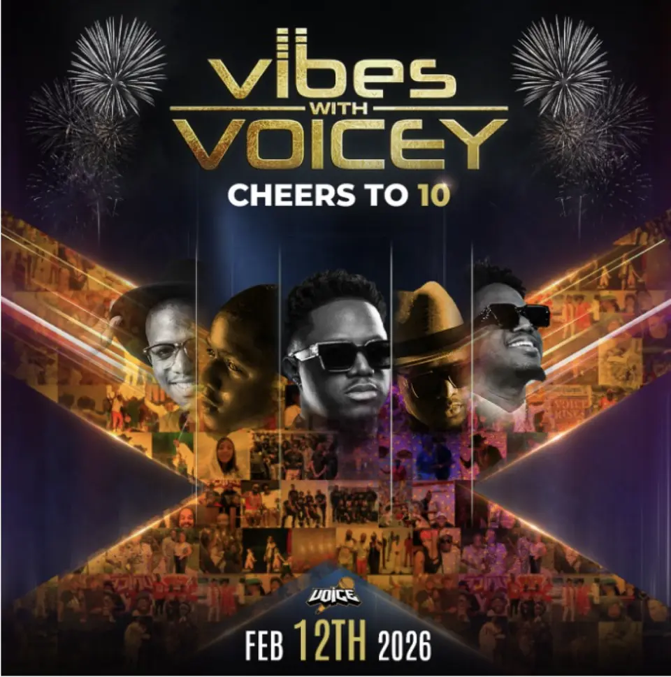 Vibes With Voicey Cheers To 10 flyer or graphic.