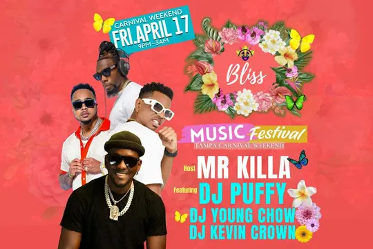 Bliss Music Festival
