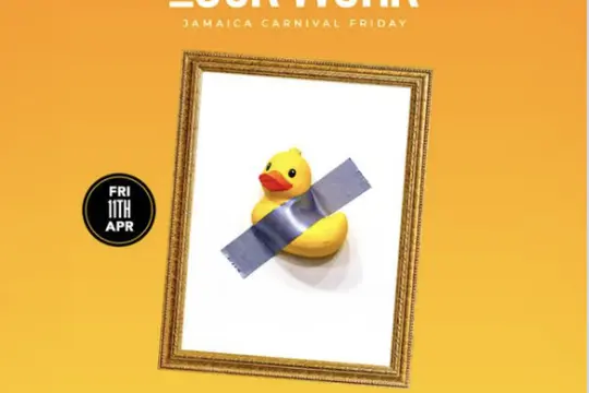 Duck Work
