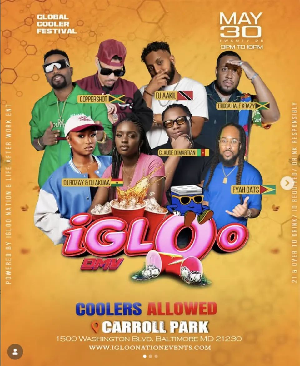Igloo flyer or graphic.