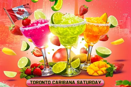 TingoRita: Toronto Caribana Saturday