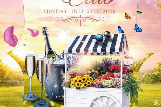 Pulse: The Sun Club 