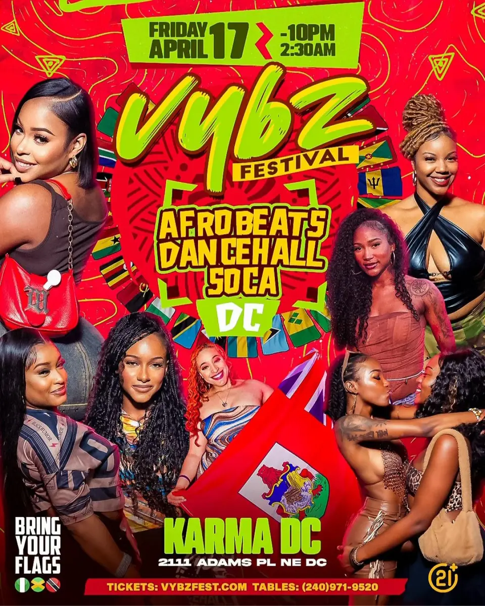 Vybz Festival flyer or graphic.