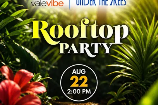 Rooftop Party