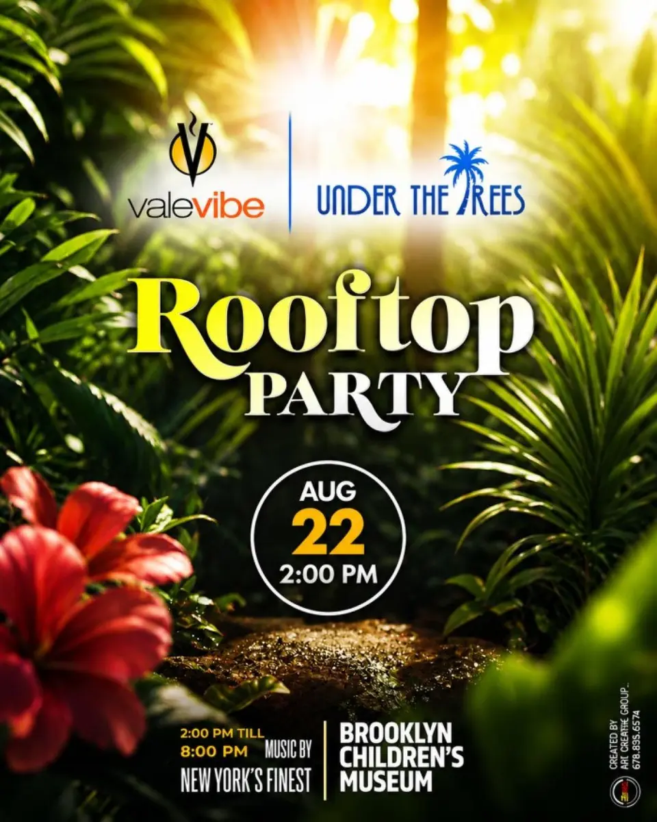 Rooftop Party flyer or graphic.