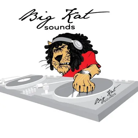Big Kat Sounds flyer.